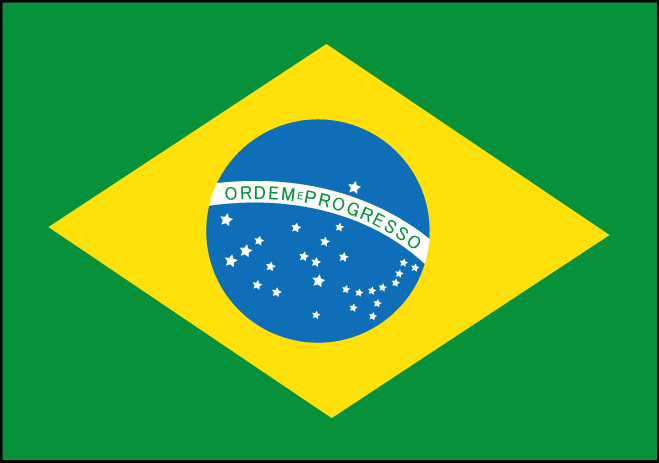16.1.5ブラジル国旗
